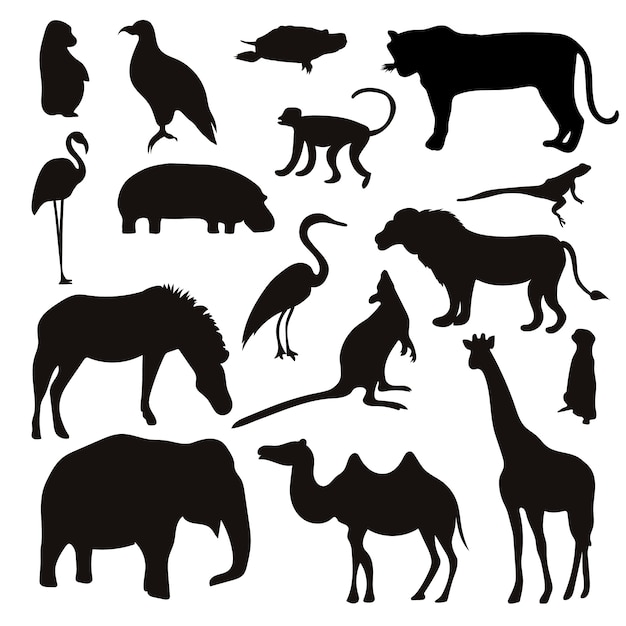 Vector conjunto de siluetas de pájaros y animales tropicales negros.