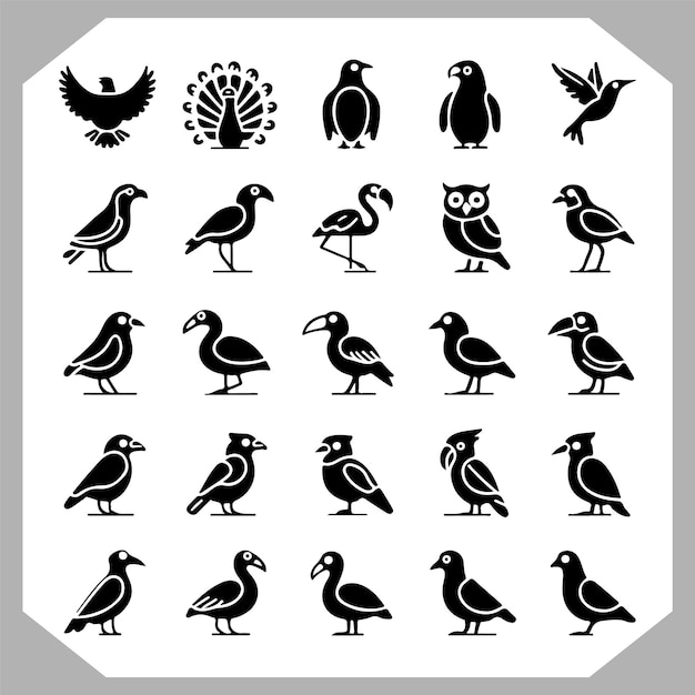 Conjunto de siluetas de pájaros negros y colección de aves diseño de conjunto de aves