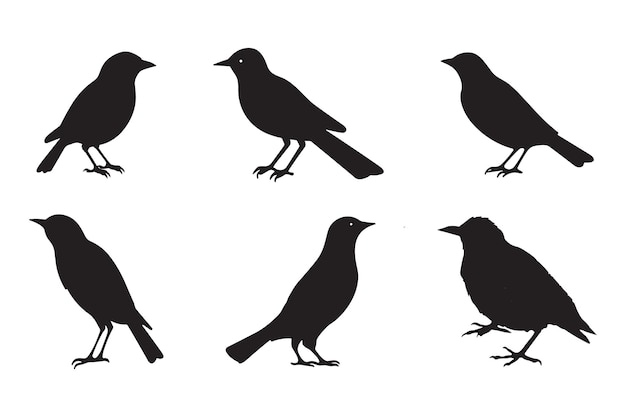 Conjunto de siluetas de pájaros negros Elementos vectoriales para el diseño