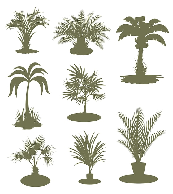 Conjunto de siluetas de palmeras aisladas en un fondo blanco Ilustración vectorial
