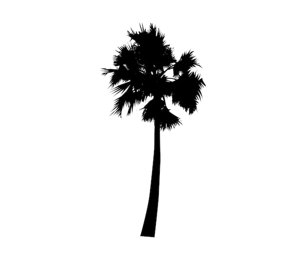 Conjunto de siluetas de palmeras sobre un fondo blanco ilustración vectorial