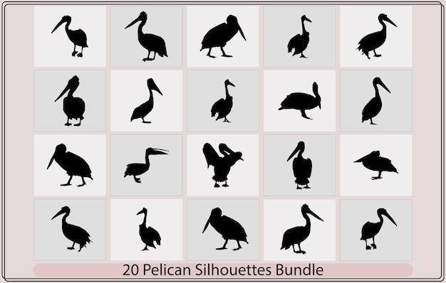 Conjunto de siluetas de pelícanos en negro Conjunto de iconos planos de pelícanos Silueta de pelícano vectorialPelican silh