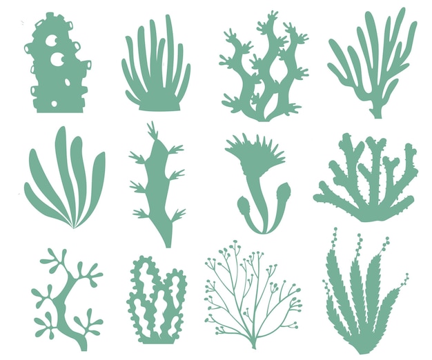 Conjunto de siluetas de plantas marinas Ilustración vectorial aislada en fondo blanco