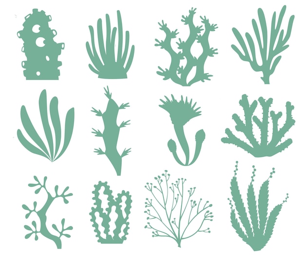 Vector conjunto de siluetas de plantas marinas ilustración vectorial aislada en fondo blanco