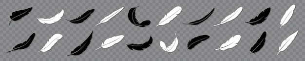 Conjunto de siluetas de plumas. ilustración vectorial