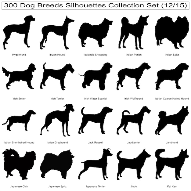Conjunto de siluetas de razas de perros Colección de paquetes Conjun to de 300 siluetas de perros aisladas Parte 12
