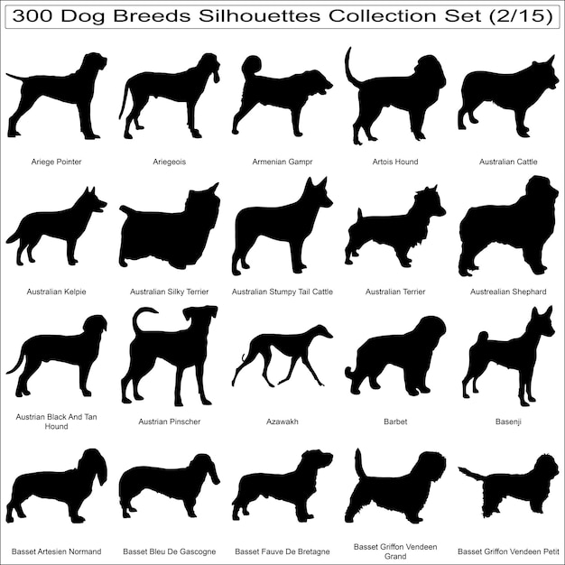 Conjunto de siluetas de razas de perros Colección de paquetes Conjun to de 300 siluetas de perros aisladas Parte 2