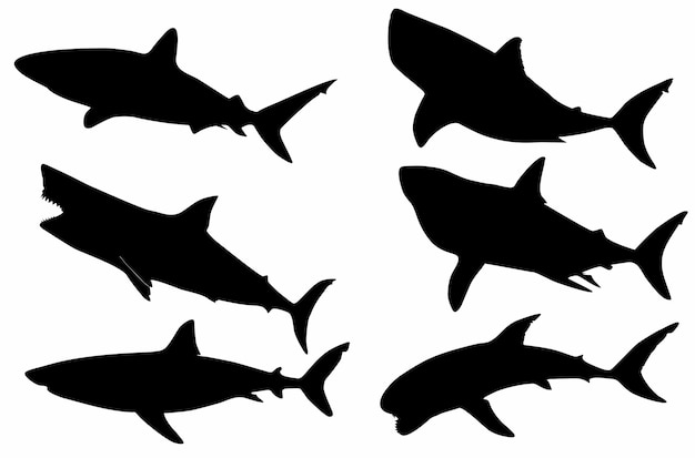 conjunto de siluetas de tiburones, logotipos, iconos,