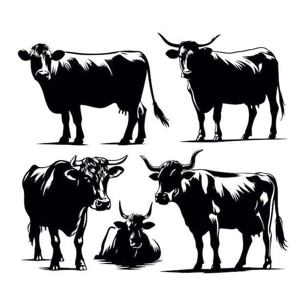 Conjunto de siluetas de vacas aisladas en un fondo blanco Ilustración vectorial