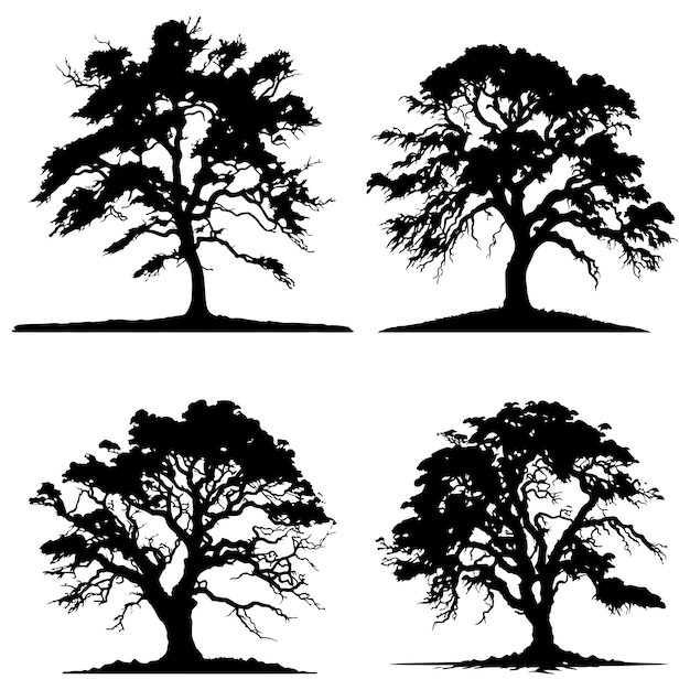 conjunto de siluetas vectoriales de árboles grandes Vector negro de silueta de árbol grande aislado sobre fondo blanco