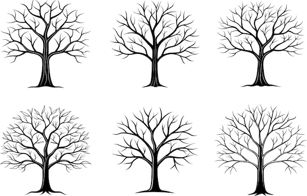 Conjunto de siluetas vectoriales de árboles sin hojas Diseño de ilustraciones