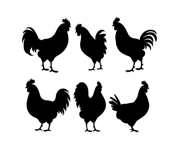 Conjunto de siluetas vectoriales de calidad detallada de pollos gallinas gallos