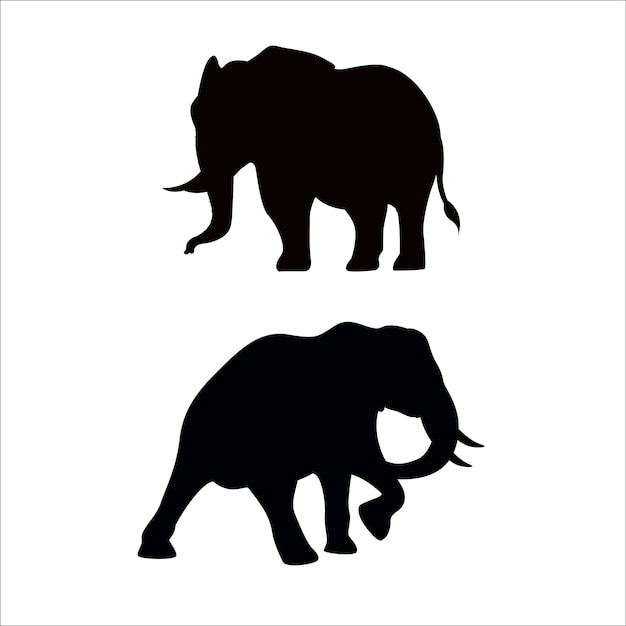 Conjunto de siluetas vectoriales editables de elefantes africanos en varias poses