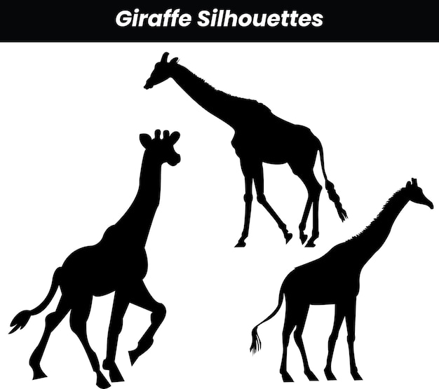 Conjunto de siluetas vectoriales de jirafas