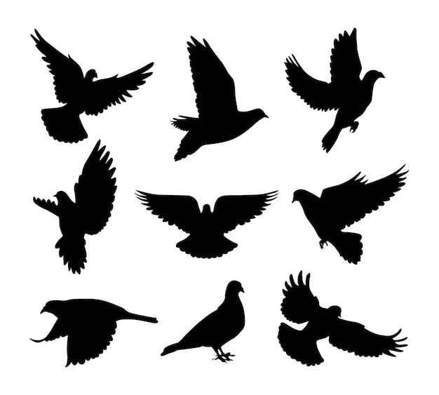 conjunto de siluetas vectoriales de palomas o palomas