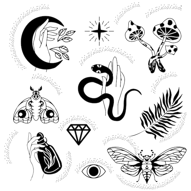 Un conjunto de símbolos rituales mágicos