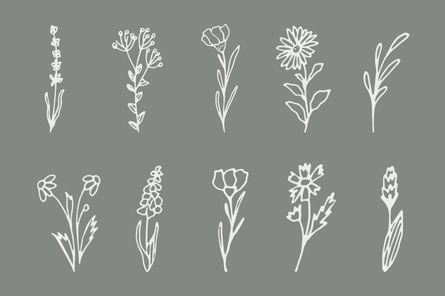 Un conjunto de simples elementos florales ramas botánicas dibujadas a mano minimalismo para tarjetas postales de logotipos