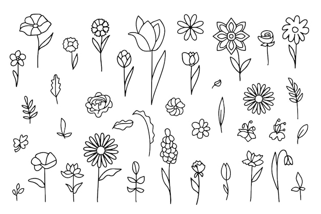 Conjunto de simples elementos florales y vegetales en estilo doodle flores estilizadas ramas de plantas hojas de mano