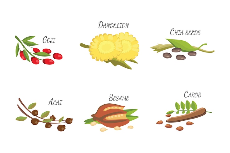 Vector conjunto de superalimentos de dibujos animados. fondo de dibujo de frutas frescas. ilustración para tu.