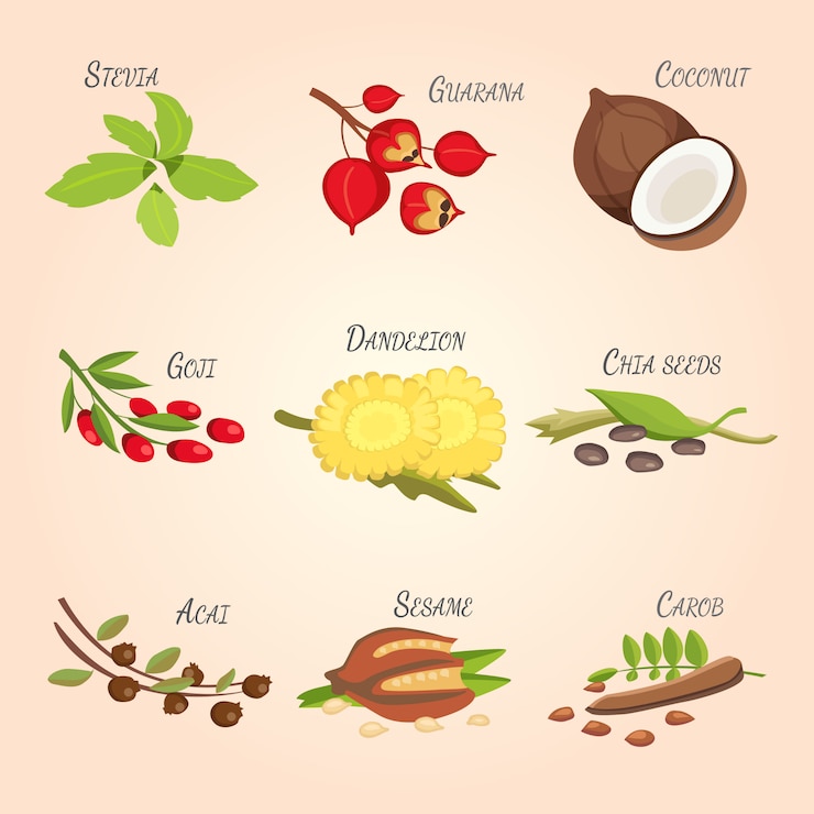 Vector conjunto de superalimentos de dibujos animados de vector. fondo de bosquejo de frutas frescas. ilustración para su diseño.