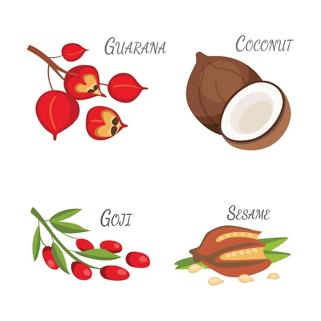 Conjunto de superalimentos de dibujos animados vectoriales Ilustración para su diseño