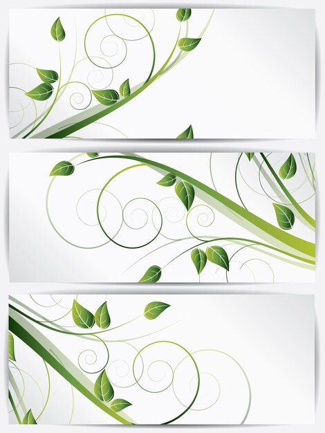 Vector conjunto de tarjetas abstractas con flores