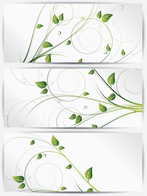 Vector conjunto de tarjetas abstractas con flores