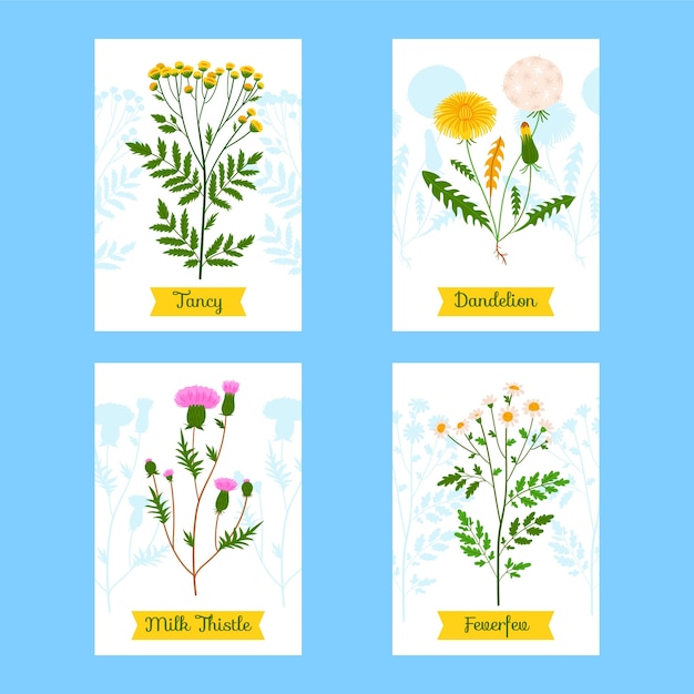 Conjunto de tarjetas de dibujos animados dibujados a mano plana de hierbas
