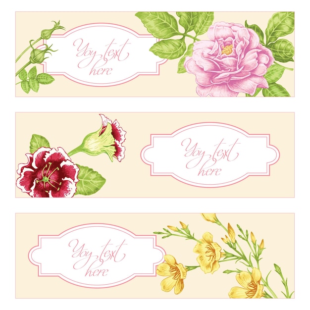 Conjunto de tarjetas florales Flores de jardín y lugar para texto Vector vintage