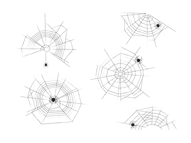 Conjunto de telaraña de elementos de diseño de Halloween Telaraña de línea texturizada abstracta con arañas Prediseñadas Estilo de dibujo a lápiz Ilustración vectorial aislada sobre fondo blanco