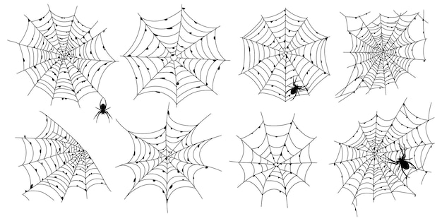 Conjunto de telaraña negra aterradora aislada en blanco Decoración de halloween espeluznante Telaraña de contorno