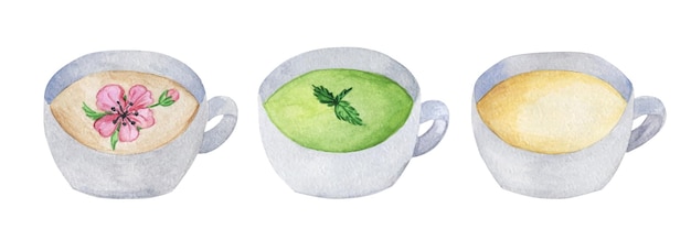 Vector un conjunto de tés bebida con flores de sakura matcha sencha herbal decocción china cocina asiática