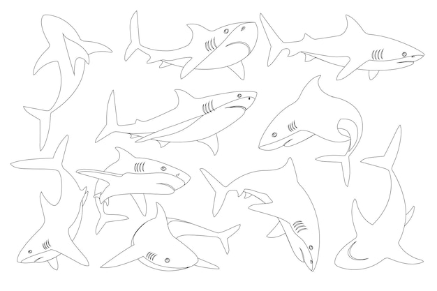 Conjunto de tiburón con la boca cerrada en diferentes poses Tiburón con la boca cerrada, ápice gigante, depredador, contorno, estilo, caricatura, animal, diseño, plano, vector, ilustración, aislado, blanco, fondo.