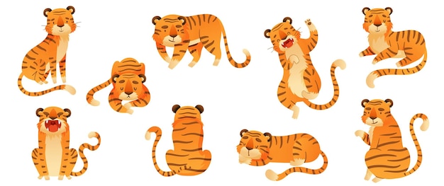 Conjunto de tigres en varias poses animales depredadores salvajes ilustración vectorial de dibujos animados