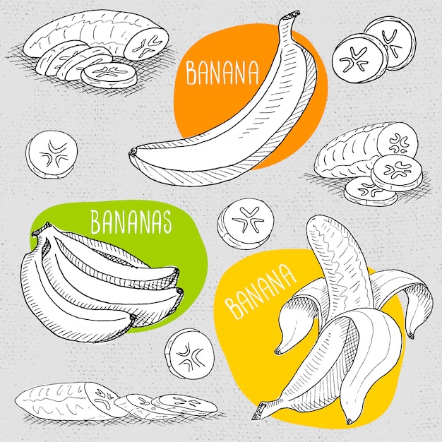 Vector conjunto de tiza dibujada en una pizarra de alimentos.