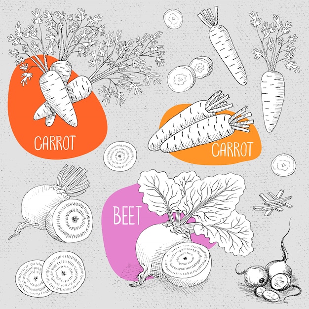 Vector conjunto de tiza dibujada en una pizarra de alimentos.