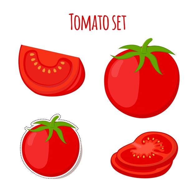 Vector conjunto de tomate