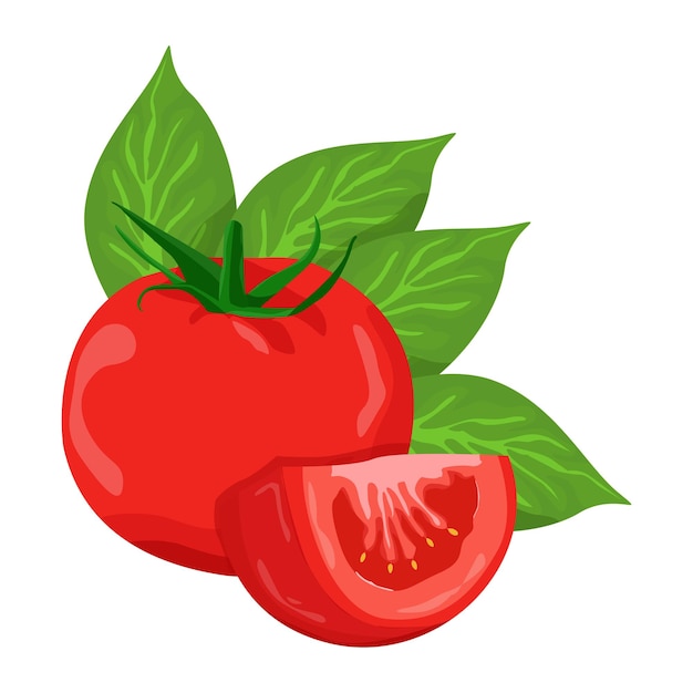 conjunto, de, tomates, aislado, blanco, plano de fondo, hojas, vector, elemento, conjunto, de, entero, cortado, por, mitad