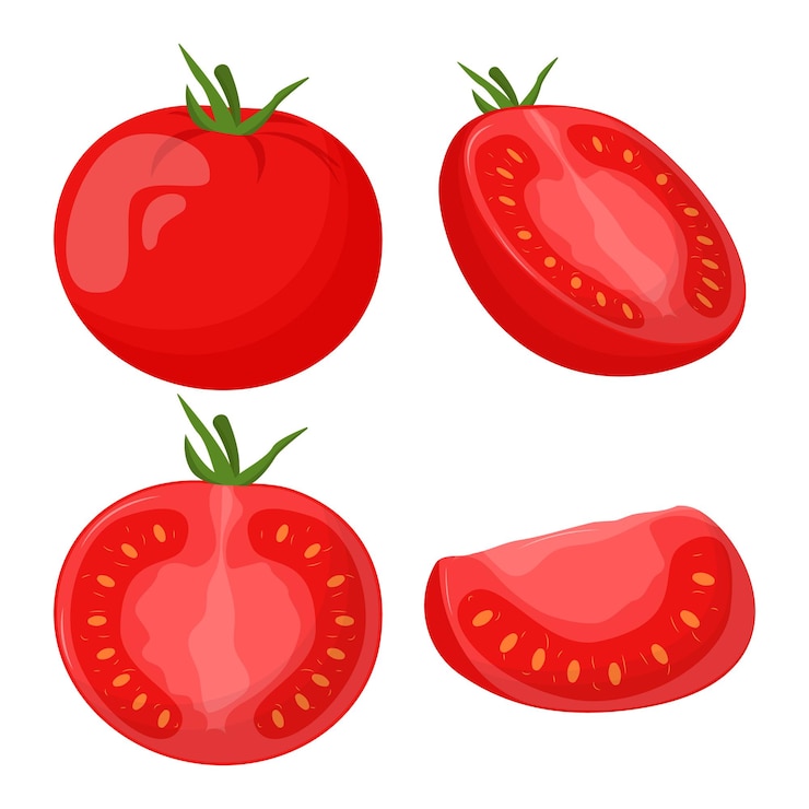 Vector conjunto de tomates aislados sobre fondo blanco ilustración de vector plano