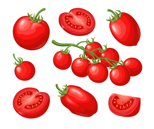 Conjunto de tomates dibujados a mano aislados sobre fondo blanco Rama entera mitad y rebanada Ilustración de color plano vectorial