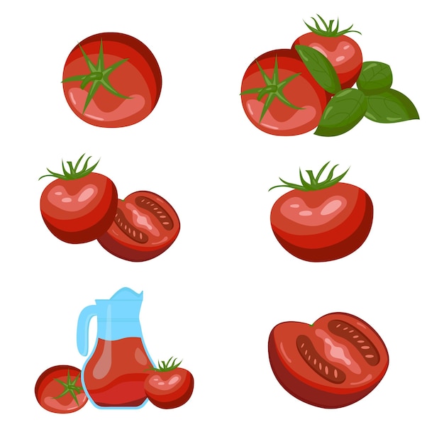 Un conjunto de tomates diferentes dibujados la mitad de ellos.