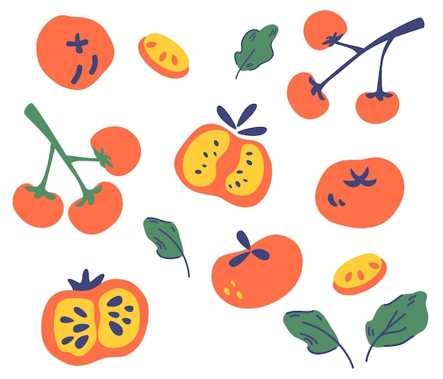 Conjunto de tomates. Diferentes tipos de tomates. Entero, en rodajas, en cuartos, la mitad de un tomate. Comida sana vegetal, vegetariana, vegana. Para decoración, cocina, menú, tienda, restaurante. Ilustración vectorial