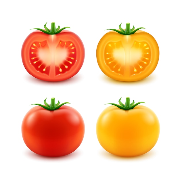 Conjunto de tomates enteros cortados frescos rojo amarillo verde