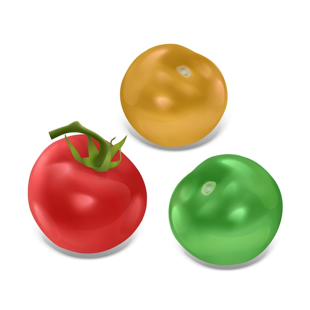 Conjunto de tomates maduros aislados, conjunto de tomate de colores rojo, verde y amarillo en estilo realista, ilustración