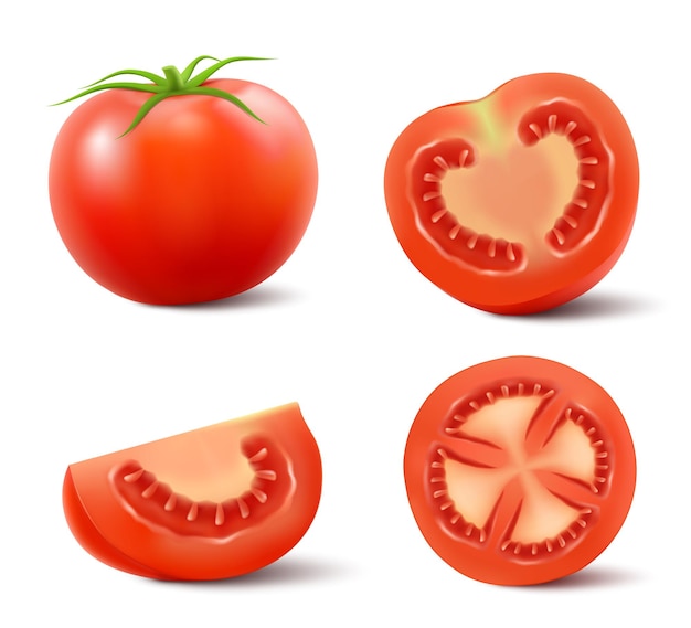 Conjunto de tomates rojos aislados sobre fondo blanco Ilustración vectorial 3d realista Mitad entera y tomates en rodajas con hojas verdes Verduras frescas