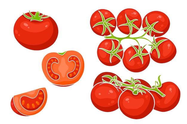 Conjunto de tomates. Tomates frescos, tomates en rama, una cuña y media. En un estilo de dibujos animados. Ilustración de vector de diseño y decoración.