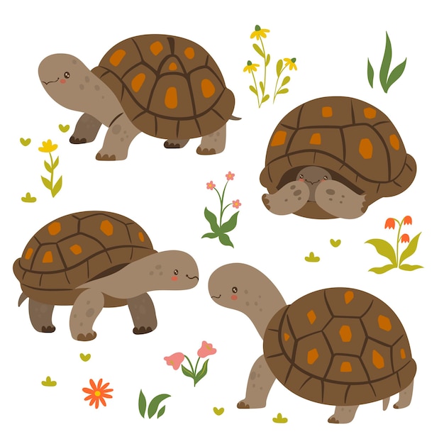 Conjunto de tortugas lindas aislado sobre fondo blanco. Gráficos vectoriales.