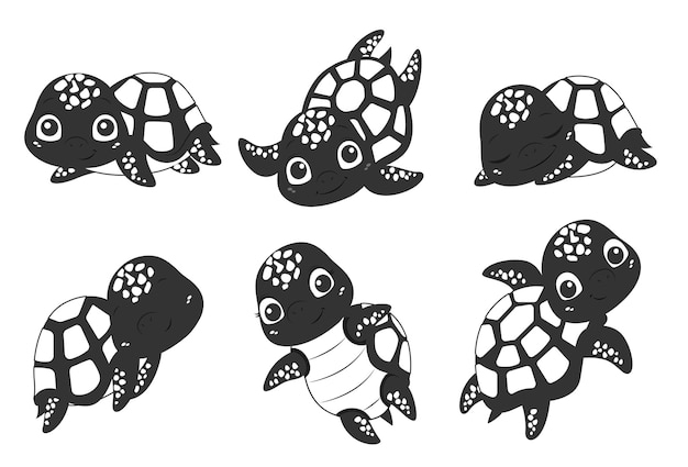 Conjunto tortugas negro