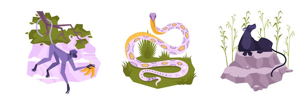 Conjunto con tres composiciones aisladas de plantas y animales tropicales planos.