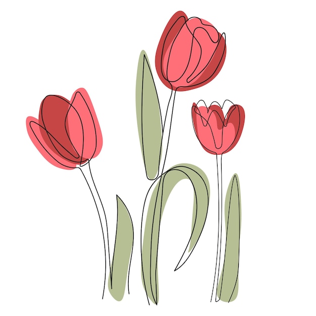 Conjunto de tres flores de tulipán rojo dibujadas por una línea negra Ilustración vectorial de dibujo a mano